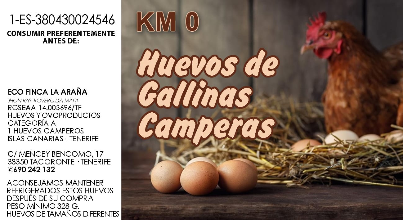 WhatsApp Image 2025-11-16 at 5.08.00 AM